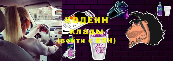 индика Богданович