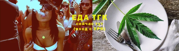 индика Богданович