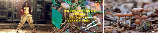 альфа пвп Богородск