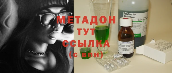 индика Богданович