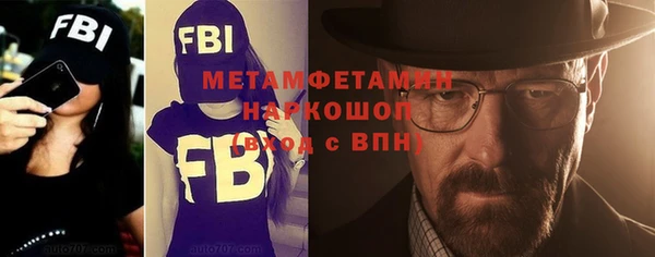 индика Богданович