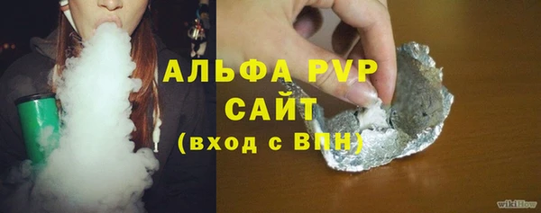 индика Богданович