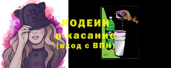 индика Богданович