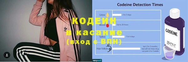 индика Богданович