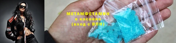 индика Богданович