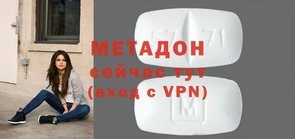 индика Богданович