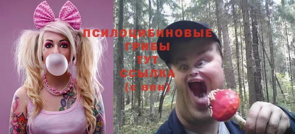 индика Богданович