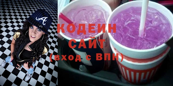 индика Богданович