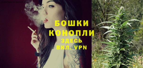 ALPHA-PVP Богородицк