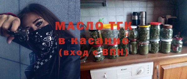 индика Богданович