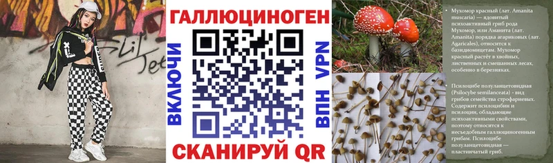 Купить где  Нариманов  Галлюциногенные грибы мицелий 